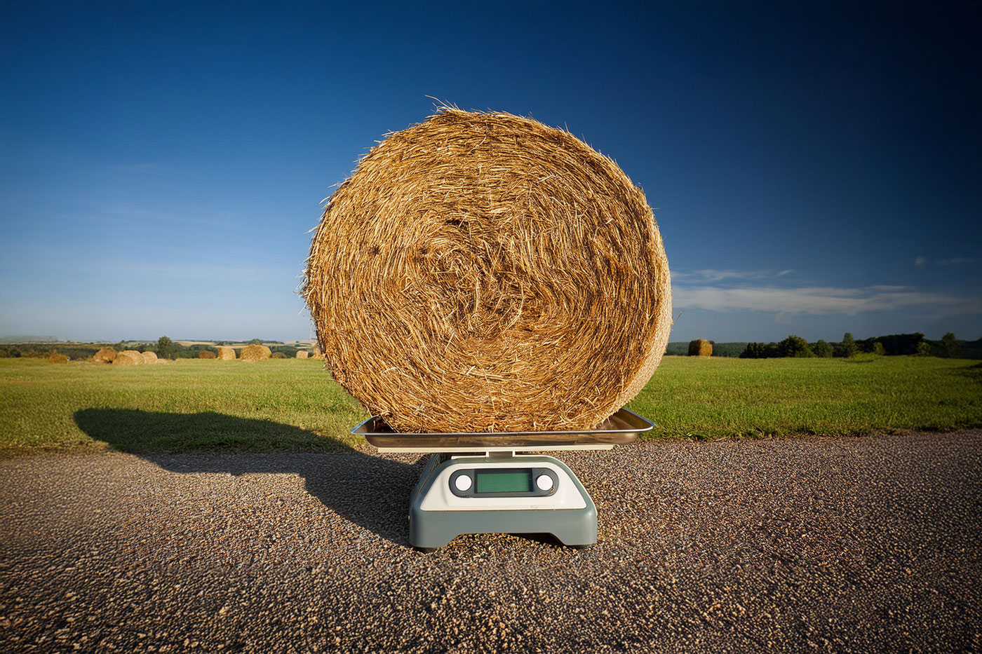 hay bale on scale